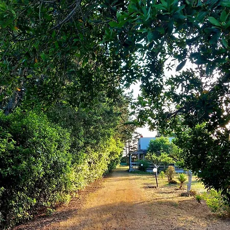 Casa vacanze Dimora Montenegro Brindisi