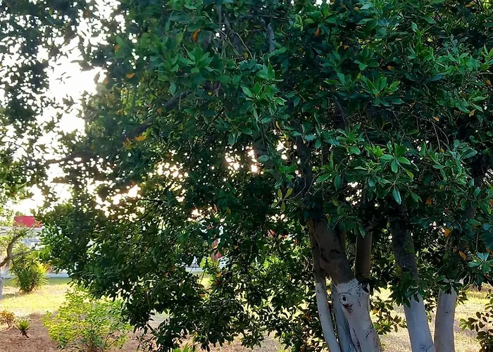 Dimora Montenegro Brindisi